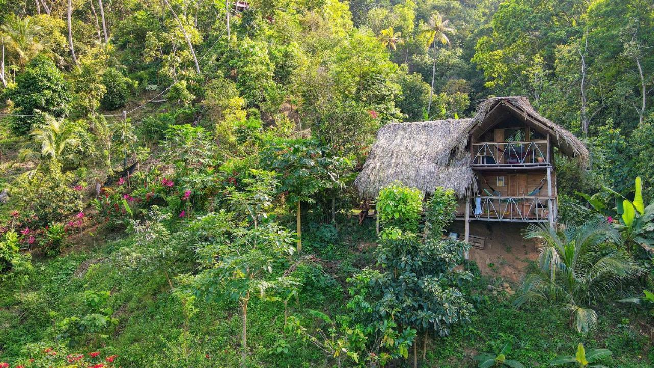 Finca La Selvita Chocolate Experience Буритака Экстерьер фото