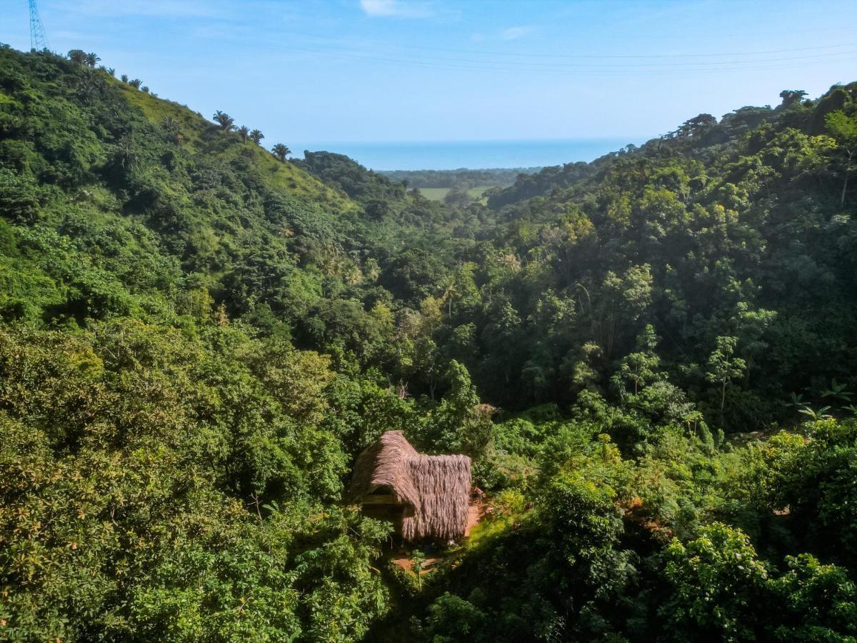 Finca La Selvita Chocolate Experience Буритака Экстерьер фото