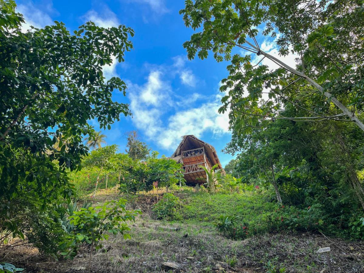 Finca La Selvita Chocolate Experience Буритака Экстерьер фото