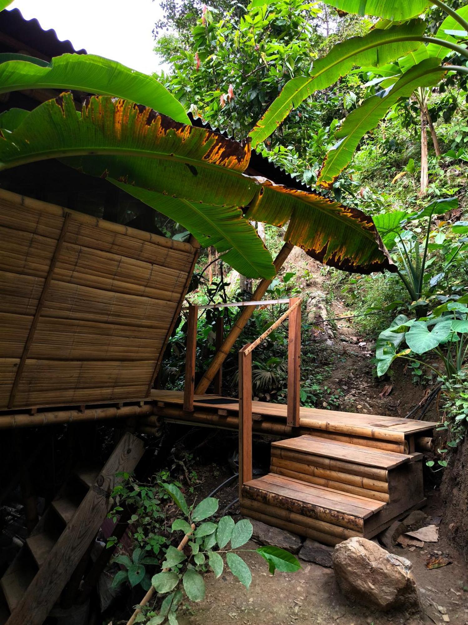 Finca La Selvita Chocolate Experience Буритака Экстерьер фото
